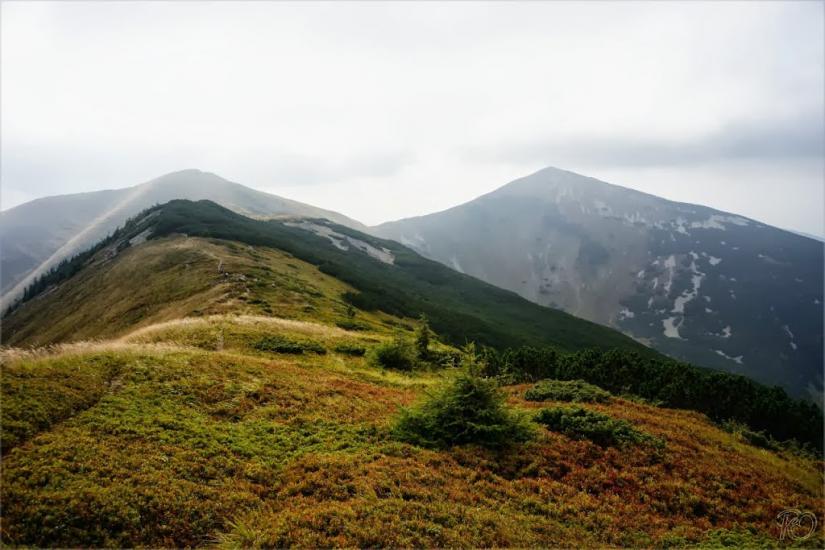 Заверхня Кичера з panoramio.com - Заверхня Кичера