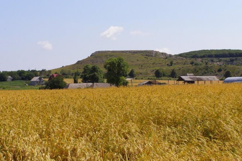 Вербка з panoramio.com - Вербка
