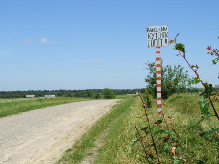 Карпи з panoramio.com - Карпы