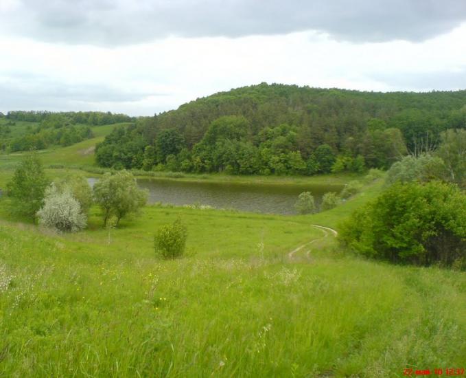 Великі Будища з panoramio.com - Великие Будища