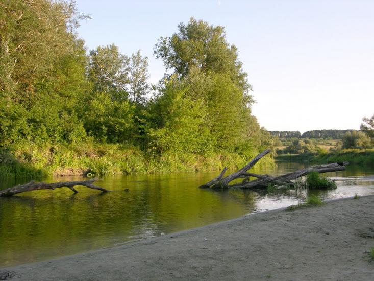 Щурівка з panoramio.com - Щуровка