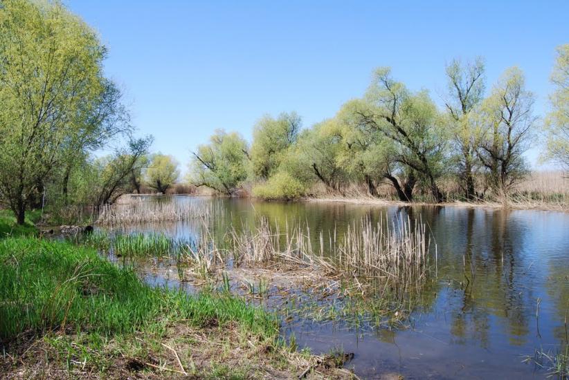 Біляївка з panoramio.com - Беляевка
