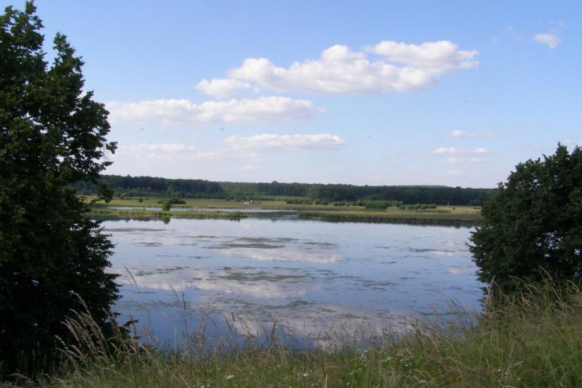 Головчинці з panoramio.com - Головчинцы