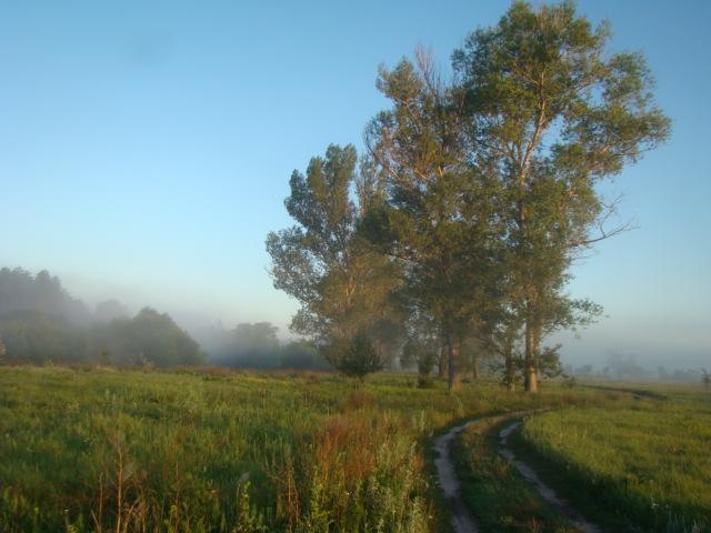 Велика Чернеччина з panoramio.com - Велика Чернеччина