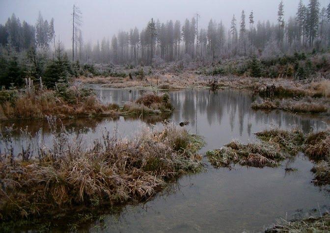 Сянки з panoramio.com - Сянки
