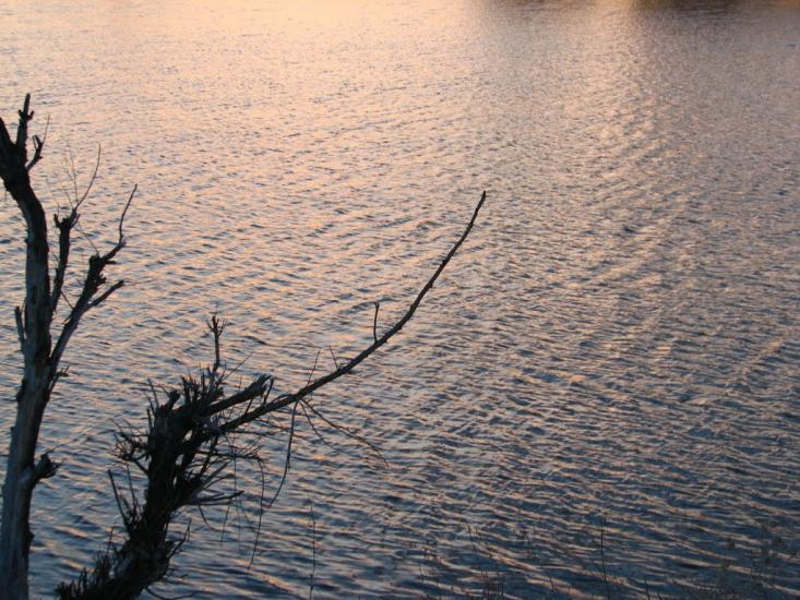 Логачівка з panoramio.com - Логачевка