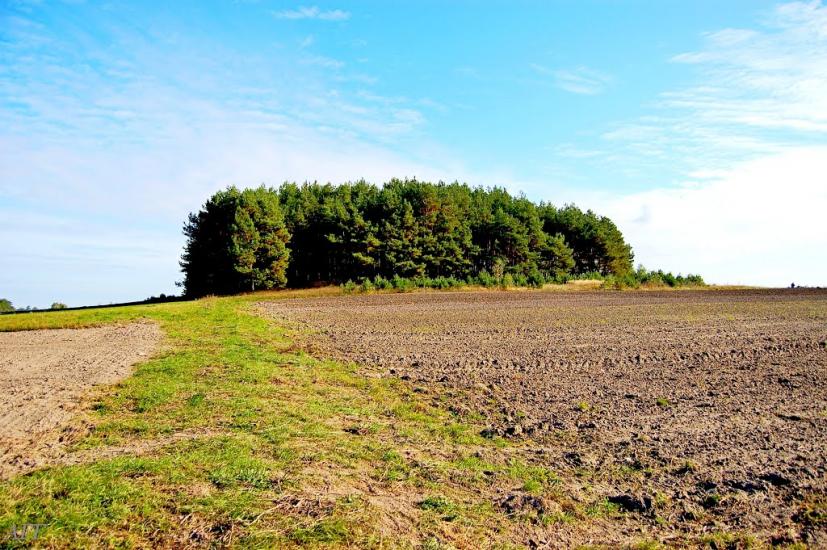 Велика Ведмежка з panoramio.com - Великая Ведмежка