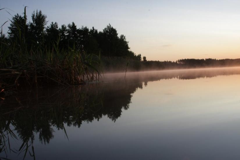 Діброва з panoramio.com - Диброва
