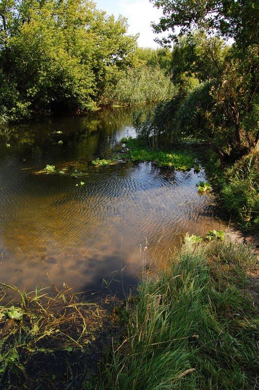 Нижній Бишкин з panoramio.com - Нижній Бишкин