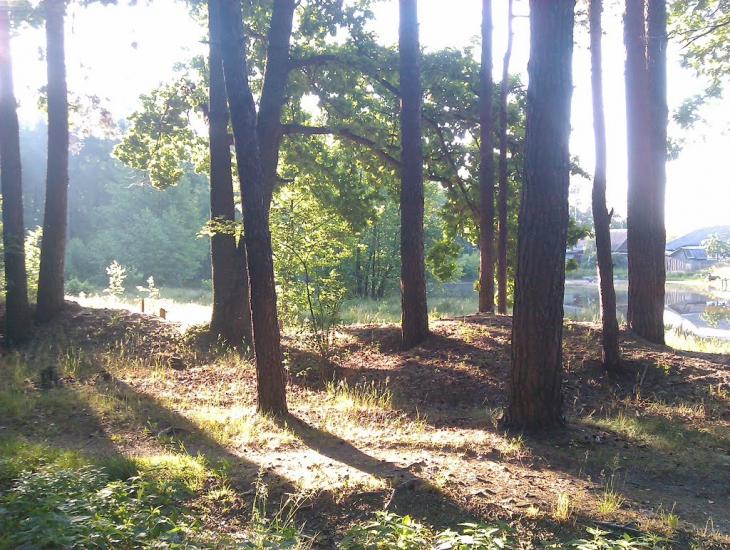 Корюківка з panoramio.com - Корюковка