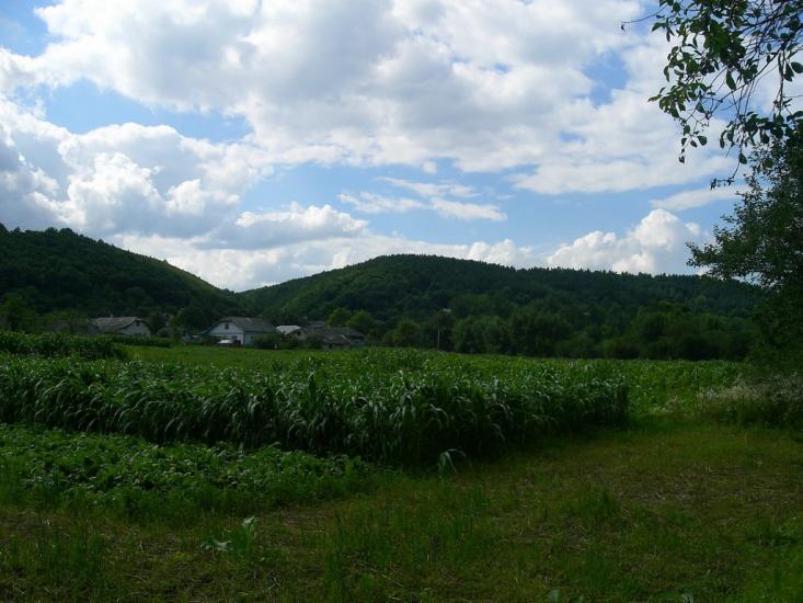 Біла з panoramio.com - Біла