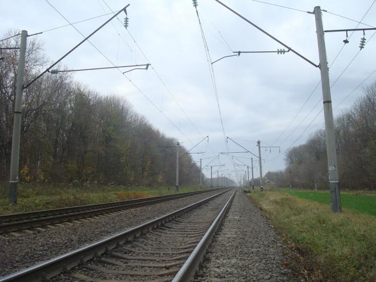 Лозова з panoramio.com - Лозова