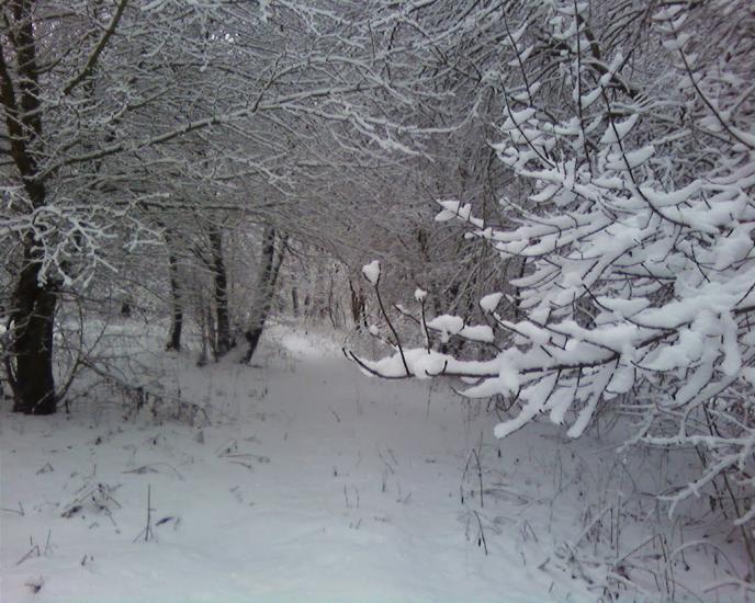 Ліпляве з panoramio.com - Лепляво