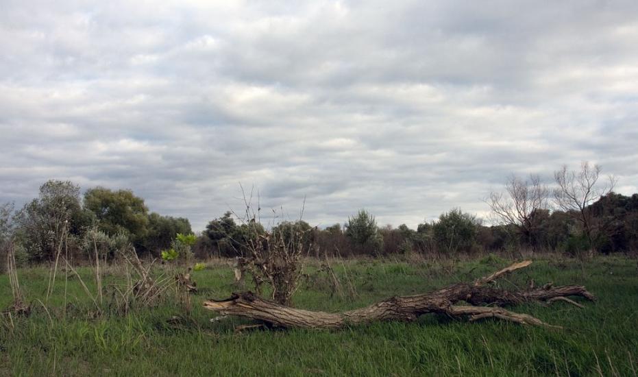 Яськи з panoramio.com - Jasky