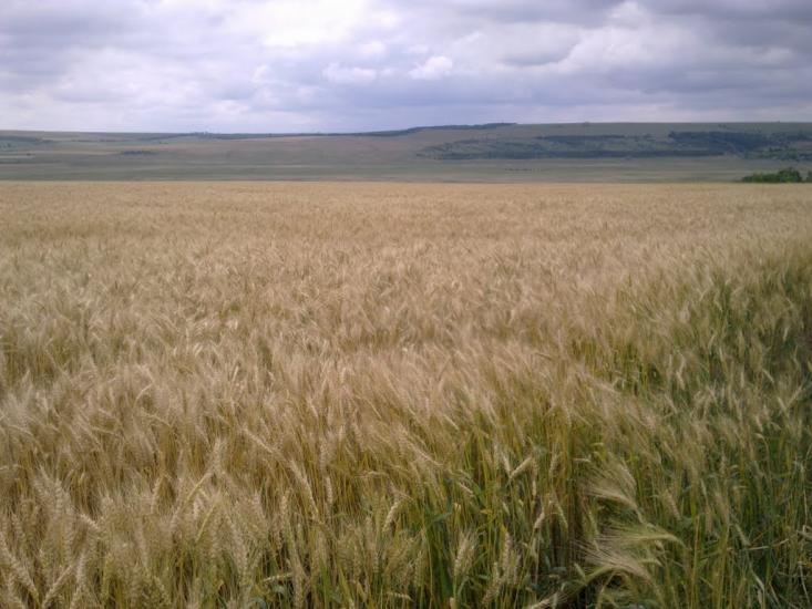 Юр'ївка з panoramio.com - Юрьевка