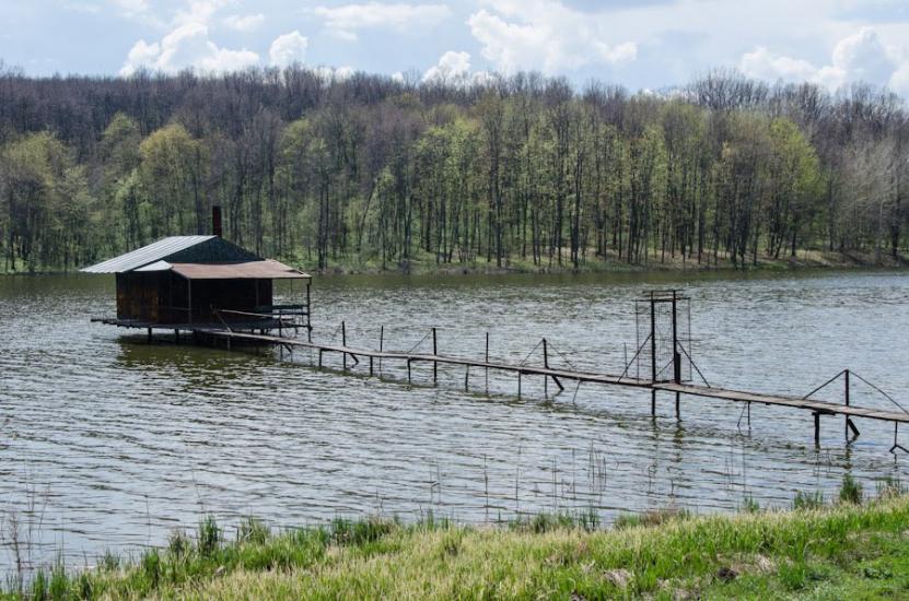 Польова з panoramio.com - Полевая