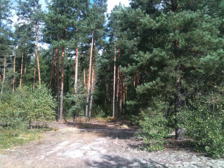 Волиця з panoramio.com - Волиця