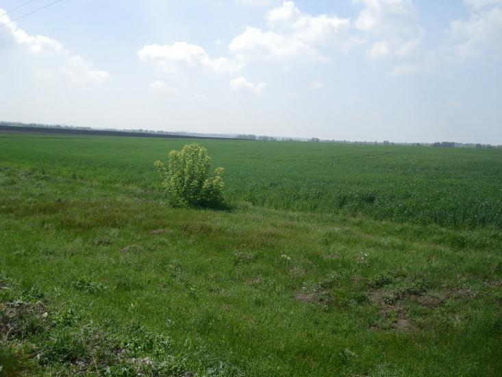 Стара Гута з panoramio.com - Старая Гута