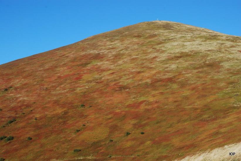 Вовчий з panoramio.com - Волчий