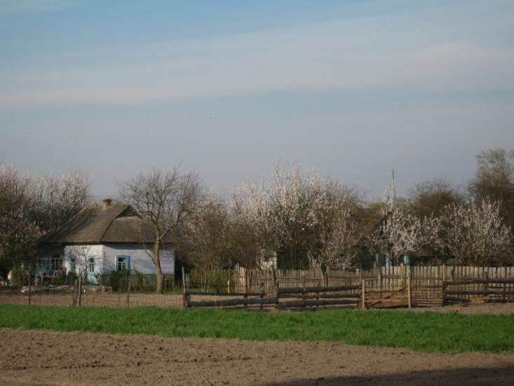 Лебедівка з panoramio.com - Лебедівка