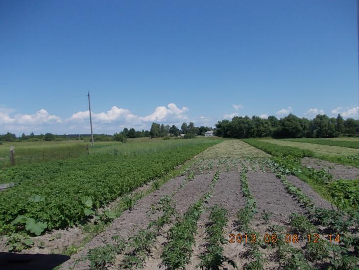 Ігнатпіль з panoramio.com - Игнатполь