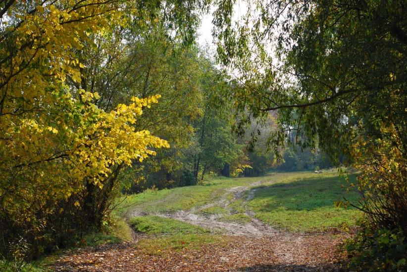Остапівка з panoramio.com - Остаповка