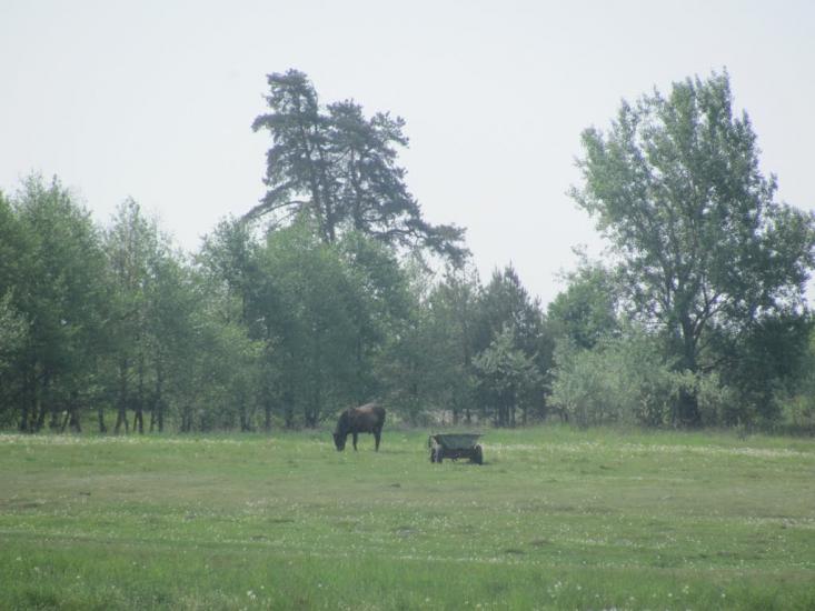 Островки з panoramio.com - Островки