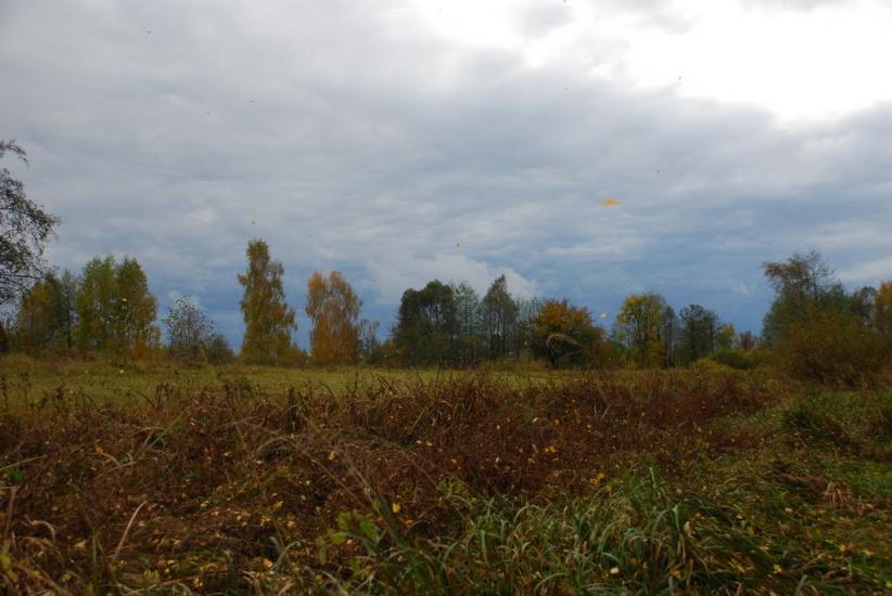 Остапівка з panoramio.com - Остапівка