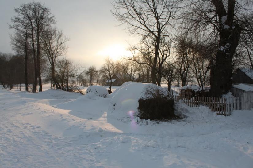 Яблуневе з panoramio.com - Jabluneve