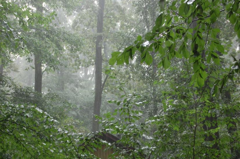 Хлерівка з panoramio.com - Khlerivka