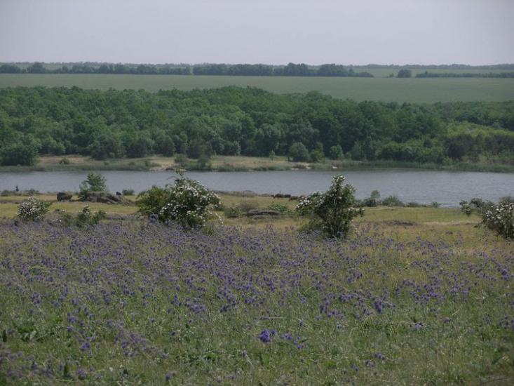Захарівка з panoramio.com - Захарівка