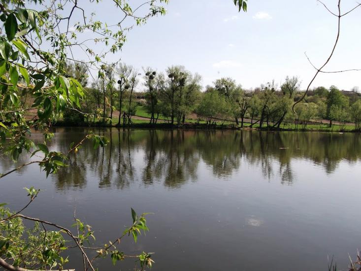 Губник з panoramio.com - Губник