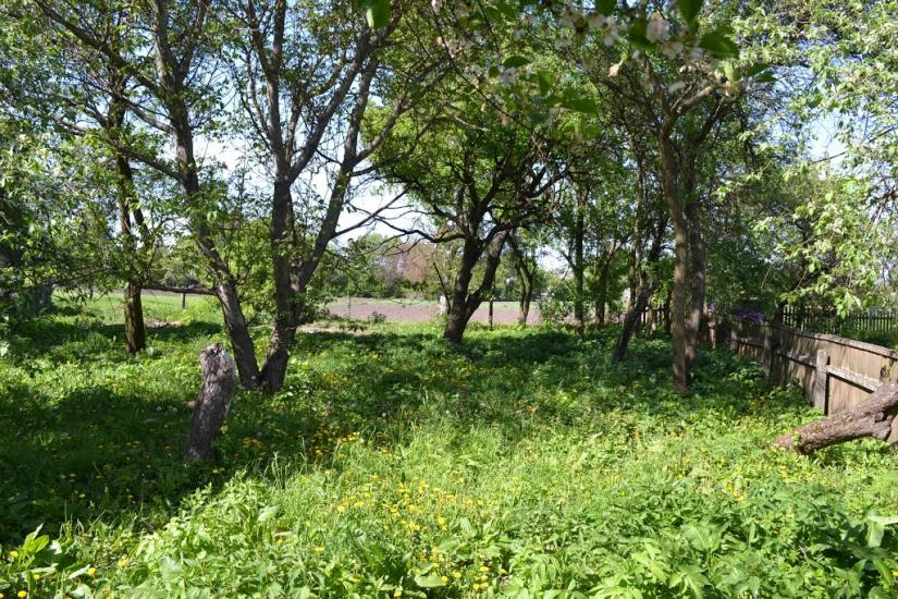 Меленці з panoramio.com - Меленцы