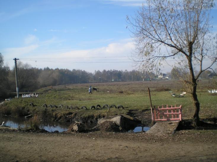 Негівці з panoramio.com - Негівці