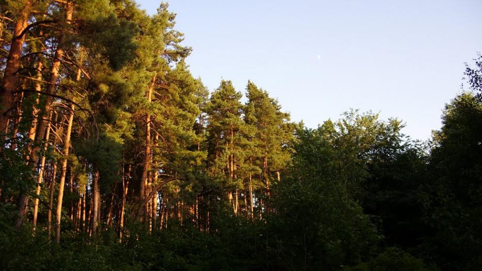 Пашенівка з panoramio.com - Пашеновка