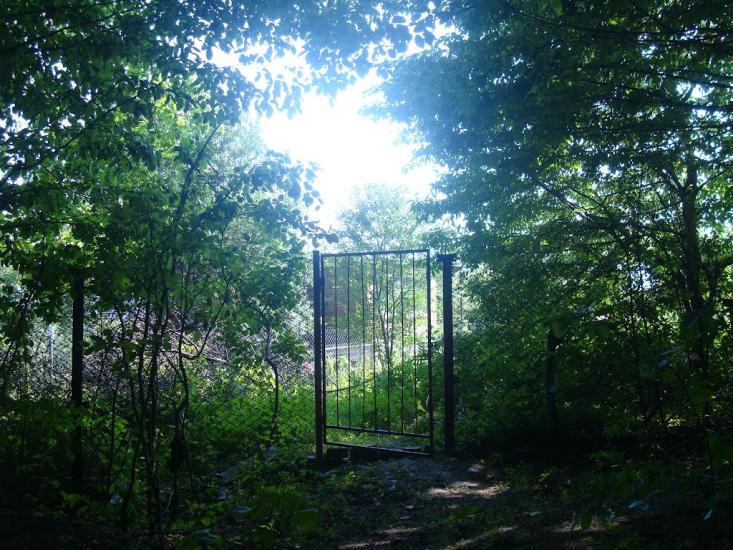 Стуфчинці з panoramio.com - Стуфчинці