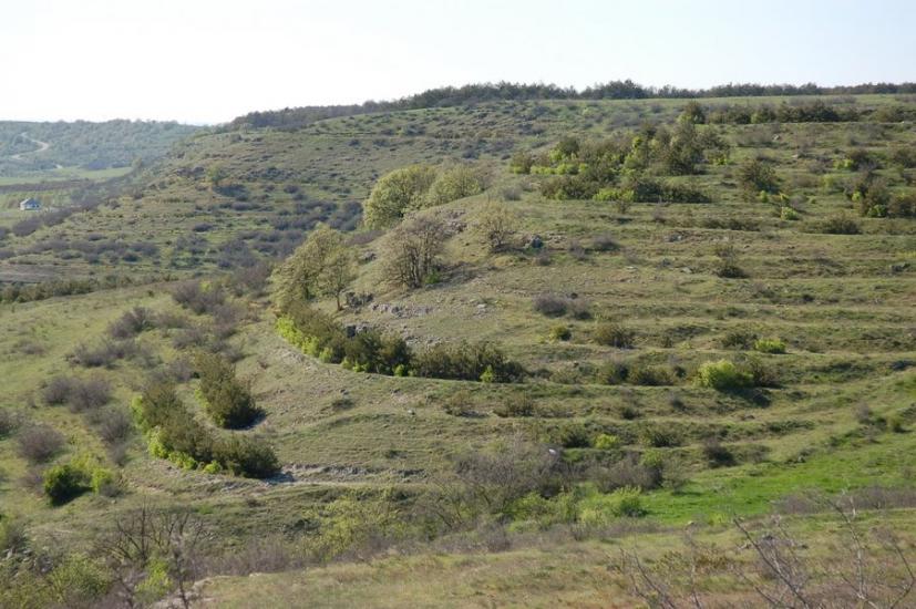 Долинне з panoramio.com - Долинное