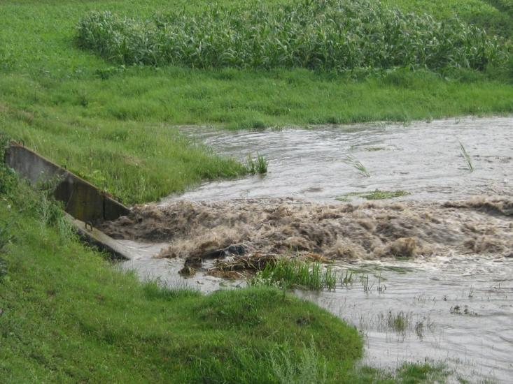 Грузьке з panoramio.com - Грузьке