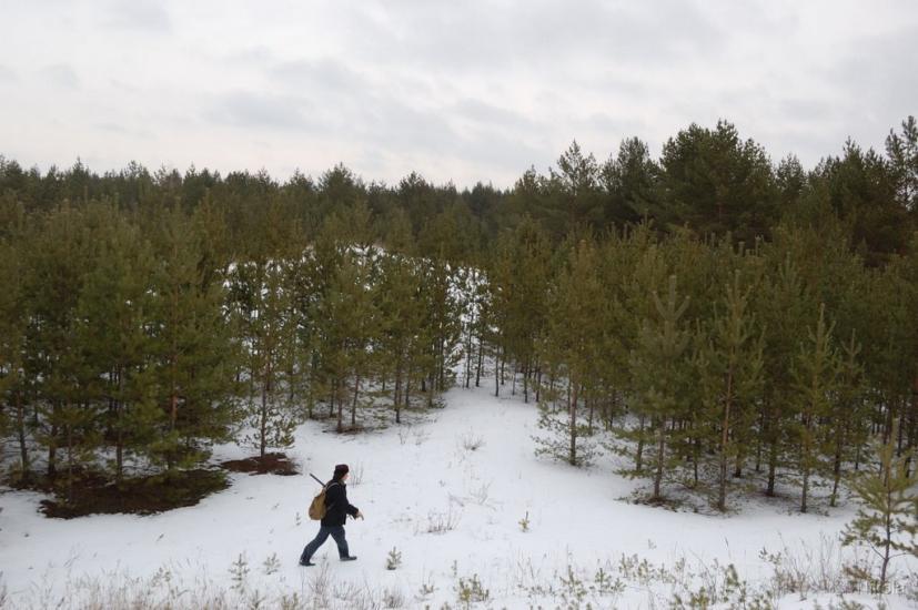 Воронове з panoramio.com - Воронове