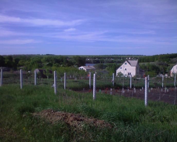 Черняки з panoramio.com - Черняки