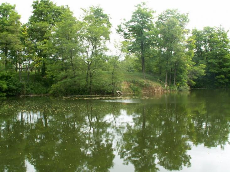 Овруч з panoramio.com - Овруч