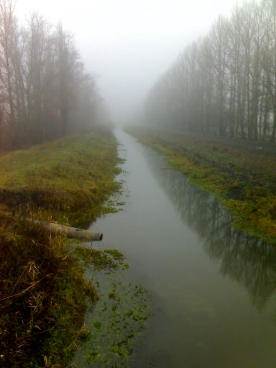 Литвинівка з panoramio.com - Литвиновка