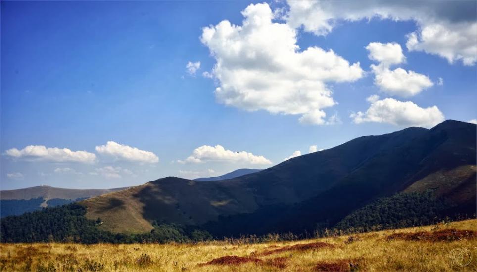 Вовчий з panoramio.com - Волчий