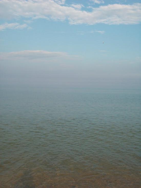 Грибівка з panoramio.com - Грибовка