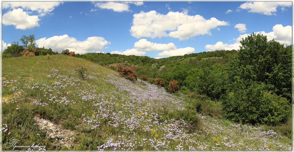 Приморське з panoramio.com - Приморское