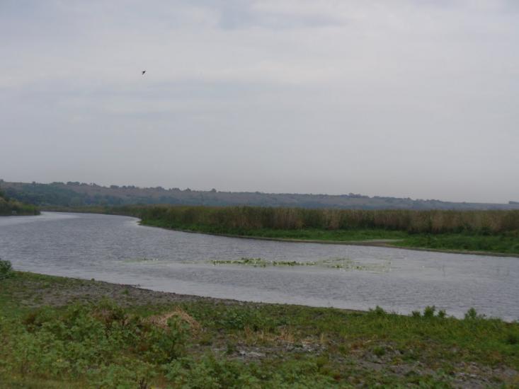 Гупалівка з panoramio.com - Гупалівка