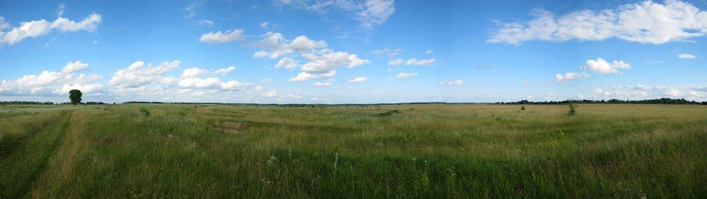 Підлісне з panoramio.com - Підлісне