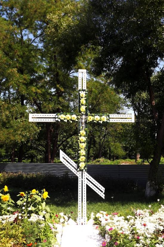 Панчеве з panoramio.com - Панчево