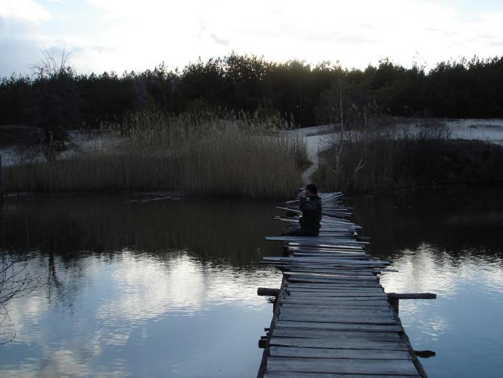 Ровжі з panoramio.com - Ровжи