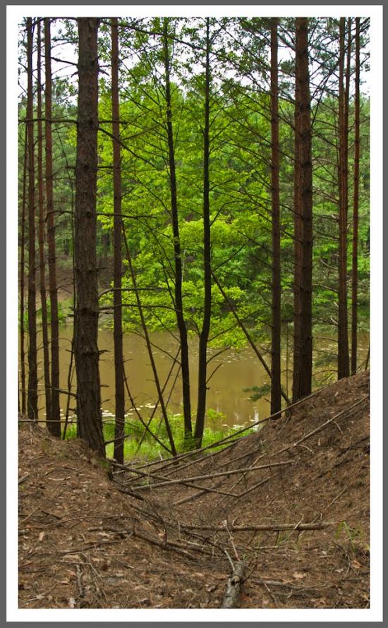 Лошакова Гута з panoramio.com - Лошакова Гута